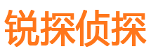 乐东市调查公司